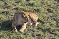 IMG 2884 &ndash; &copy; Philip Seidel (Eberhardt TRAVEL)