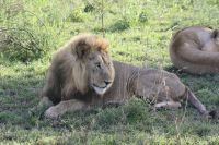 IMG 2885 &ndash; &copy; Philip Seidel (Eberhardt TRAVEL)