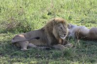 IMG 2890 &ndash; &copy; Philip Seidel (Eberhardt TRAVEL)