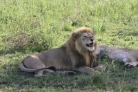IMG 2892 &ndash; &copy; Philip Seidel (Eberhardt TRAVEL)
