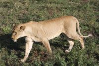 IMG 2894 &ndash; &copy; Philip Seidel (Eberhardt TRAVEL)