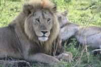 IMG 2896 &ndash; &copy; Philip Seidel (Eberhardt TRAVEL)