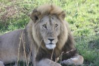 IMG 2916 &ndash; &copy; Philip Seidel (Eberhardt TRAVEL)