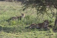 IMG 2931 &ndash; &copy; Philip Seidel (Eberhardt TRAVEL)