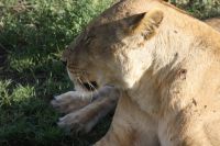 IMG 2932 &ndash; &copy; Philip Seidel (Eberhardt TRAVEL)