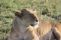 IMG 2933 &ndash; &copy; Philip Seidel (Eberhardt TRAVEL)