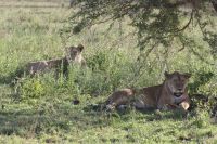 IMG 2936 &ndash; &copy; Philip Seidel (Eberhardt TRAVEL)