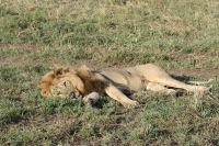 IMG 2942 &ndash; &copy; Philip Seidel (Eberhardt TRAVEL)