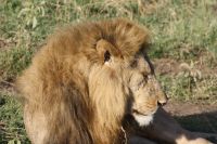 IMG 2945 &ndash; &copy; Philip Seidel (Eberhardt TRAVEL)
