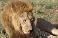 IMG 2947 &ndash; &copy; Philip Seidel (Eberhardt TRAVEL)
