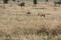 IMG 2949 &ndash; &copy; Philip Seidel (Eberhardt TRAVEL)