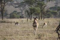IMG 2958 &ndash; &copy; Philip Seidel (Eberhardt TRAVEL)