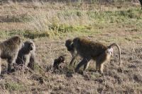 IMG 2965 &ndash; &copy; Philip Seidel (Eberhardt TRAVEL)