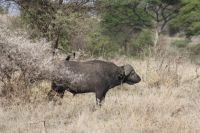 IMG 2969 &ndash; &copy; Philip Seidel (Eberhardt TRAVEL)