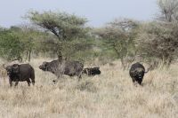 IMG 2970 &ndash; &copy; Philip Seidel (Eberhardt TRAVEL)