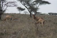 IMG 2981 &ndash; &copy; Philip Seidel (Eberhardt TRAVEL)
