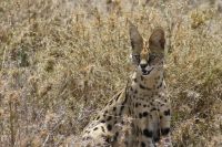 IMG 3022 &ndash; &copy; Philip Seidel (Eberhardt TRAVEL)