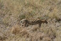 IMG 3025 &ndash; &copy; Philip Seidel (Eberhardt TRAVEL)