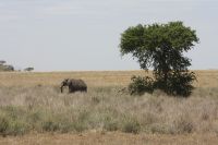 IMG 3033 &ndash; &copy; Philip Seidel (Eberhardt TRAVEL)
