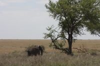 IMG 3037 &ndash; &copy; Philip Seidel (Eberhardt TRAVEL)