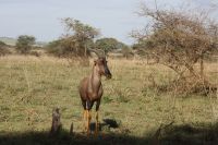 IMG 3245 &ndash; &copy; Philip Seidel (Eberhardt TRAVEL)