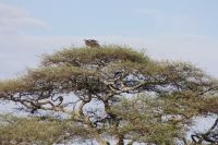 IMG 3250 &ndash; &copy; Philip Seidel (Eberhardt TRAVEL)