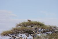 IMG 3253 &ndash; &copy; Philip Seidel (Eberhardt TRAVEL)