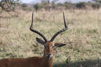 IMG 3258 &ndash; &copy; Philip Seidel (Eberhardt TRAVEL)