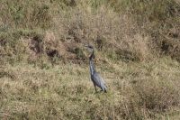 IMG 3259 &ndash; &copy; Philip Seidel (Eberhardt TRAVEL)