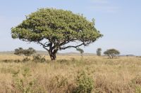 IMG 3260 &ndash; &copy; Philip Seidel (Eberhardt TRAVEL)