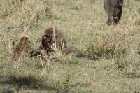 IMG 3262 &ndash; &copy; Philip Seidel (Eberhardt TRAVEL)
