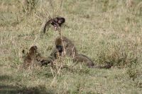 IMG 3266 &ndash; &copy; Philip Seidel (Eberhardt TRAVEL)