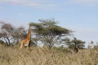 IMG 3268 &ndash; &copy; Philip Seidel (Eberhardt TRAVEL)