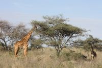 IMG 3280 &ndash; &copy; Philip Seidel (Eberhardt TRAVEL)