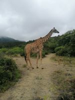 IMG 20211020 114438 &ndash; &copy; Philip Seidel (Eberhardt TRAVEL)