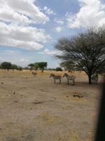 IMG 20211021 122914 &ndash; &copy; Philip Seidel (Eberhardt TRAVEL)