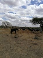 IMG 20211021 134640 &ndash; &copy; Philip Seidel (Eberhardt TRAVEL)