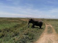 IMG 20211026 121308 &ndash; &copy; Philip Seidel (Eberhardt TRAVEL)