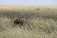 IMG 3045 &ndash; &copy; Philip Seidel (Eberhardt TRAVEL)