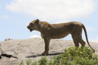 IMG 3058 &ndash; &copy; Philip Seidel (Eberhardt TRAVEL)