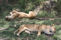 IMG 3065 &ndash; &copy; Philip Seidel (Eberhardt TRAVEL)