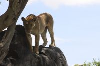 IMG 3069 &ndash; &copy; Philip Seidel (Eberhardt TRAVEL)