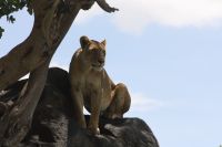 IMG 3072 &ndash; &copy; Philip Seidel (Eberhardt TRAVEL)