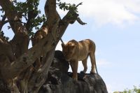 IMG 3077 &ndash; &copy; Philip Seidel (Eberhardt TRAVEL)