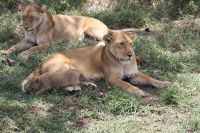 IMG 3082 &ndash; &copy; Philip Seidel (Eberhardt TRAVEL)