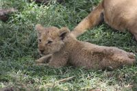 IMG 3084 &ndash; &copy; Philip Seidel (Eberhardt TRAVEL)