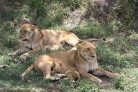 IMG 3087 &ndash; &copy; Philip Seidel (Eberhardt TRAVEL)