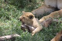 IMG 3093 &ndash; &copy; Philip Seidel (Eberhardt TRAVEL)