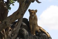 IMG 3099 &ndash; &copy; Philip Seidel (Eberhardt TRAVEL)
