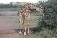 IMG 3116 &ndash; &copy; Philip Seidel (Eberhardt TRAVEL)